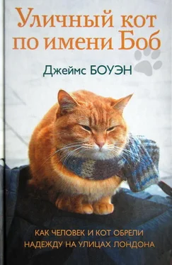 Джеймс Боуэн Уличный кот по имени Боб. Как человек и кот обрели надежду на улицах Лондона обложка книги
