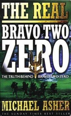 Майк Эшер Правда о Bravo Two Zero обложка книги