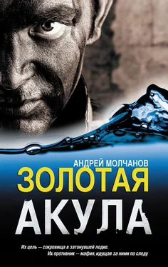 Андрей Молчанов Золотая акула обложка книги