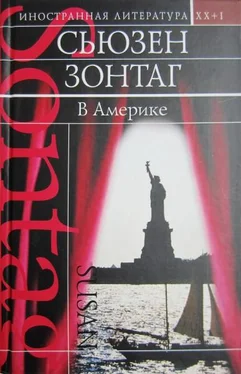 Сьюзен Зонтаг В Америке обложка книги