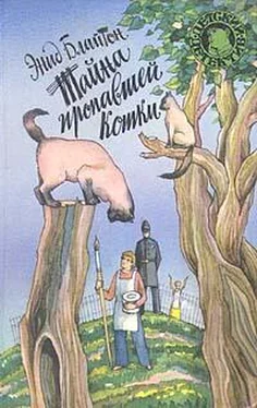 Энид Блайтон Тайна сгоревшего коттеджа обложка книги