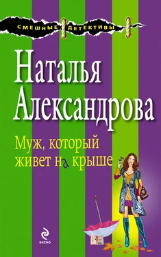 Наталья Александрова Муж, который живет на крыше обложка книги