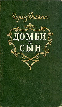 Чарльз Диккенс Торговый дом Домби и сын. Торговля оптом, в розницу и на экспорт обложка книги