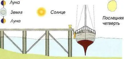 Квадратурные приливы Луна притягивает воду под прямым углом к Солнцу когда - фото 76