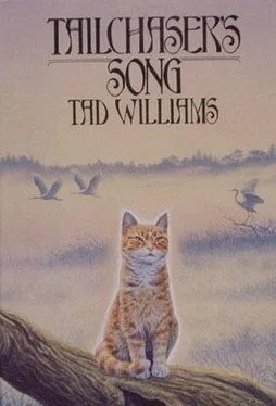 Tad Williams Tailchaser’s Song обложка книги