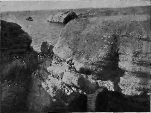 Небольшой базар на островке близ Черной губы фот автора На восточной - фото 9