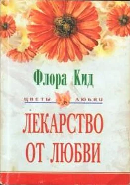 Флора Кид Лекарство от любви обложка книги