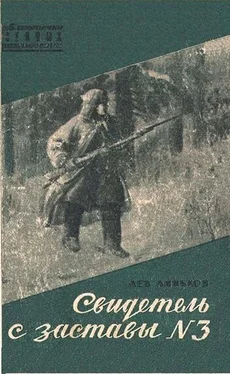 Лев Линьков Свидетель с заставы № 3 обложка книги