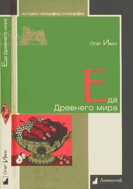 Олег Ивик Еда Древнего мира обложка книги