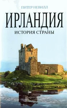 Питер Невилл Ирландия. История страны обложка книги