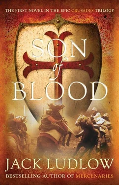 Jack Ludlow Son of Blood обложка книги