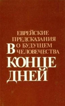 Рафаэль Айзенберг В конце дней обложка книги