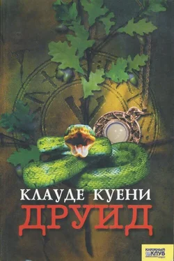 Клауде Куени Друид обложка книги