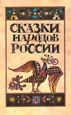 Марк Ватагин Сказки народов России обложка книги