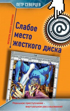 Петр Северцев Слабое место жесткого диска (сборник) обложка книги