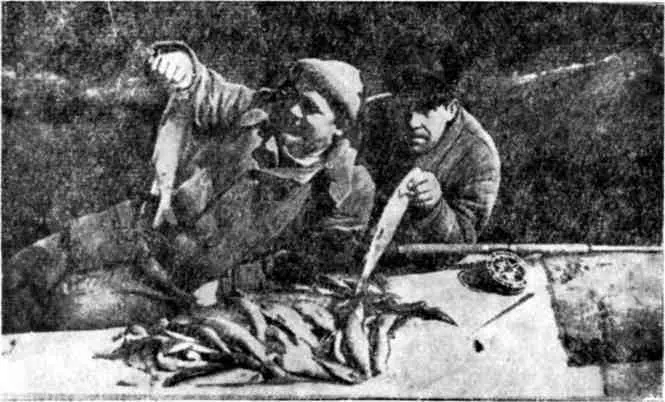 С хариусами Фото М Пуссе Вокруг Онежского полуострова 15 июля 1968 года - фото 10