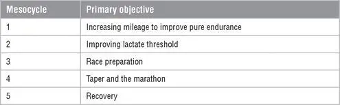 Each 7day microcycle will typically consist of three hard training sessions - фото 45