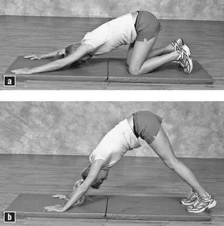 Core Stability Training Longdistance running develops muscular endurance in - фото 75