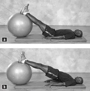 EXERCISE 4 SWISS BALL SUPERMAN How many12 repetitions per set How it - фото 79