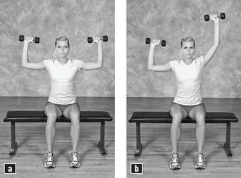 EXERCISE 9 SEATED TRICEPS PRESS How many15 repetitions per set How it - фото 99