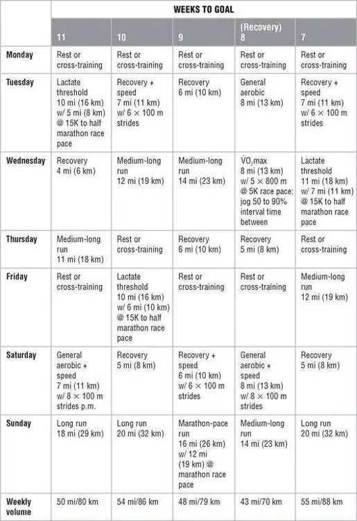 Mesocycle 3 Race Preparation Mesocycle 4 Taper and Race Mesocycle - фото 136