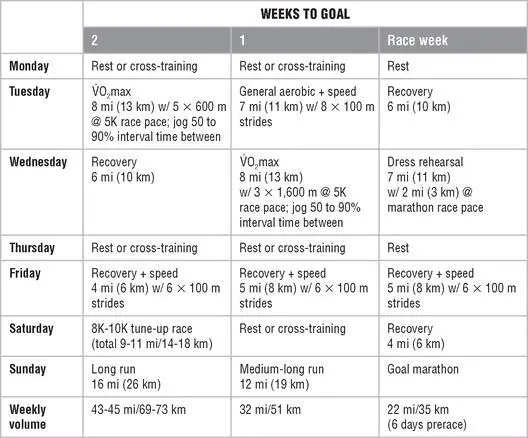 Mesocycle 1 Endurance Mesocycle 2 Lactate Threshold Endurance - фото 138