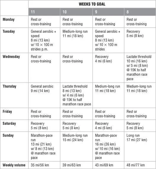 Mesocycle 2 Lactate Threshold Endurance Mesocycle 3 Race Preparation - фото 139