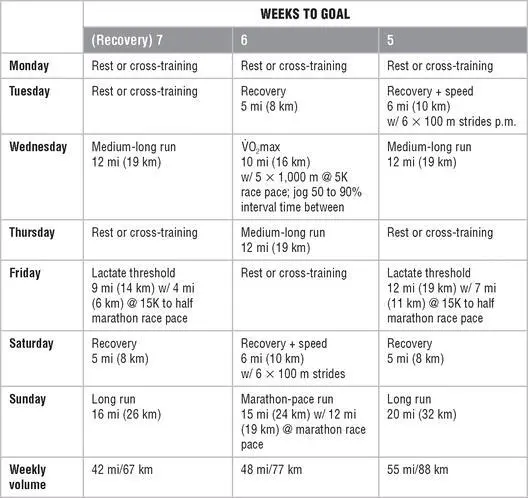 Mesocycle 3 Race Preparation Mesocycle 4 Taper and Race Mesocycle - фото 140