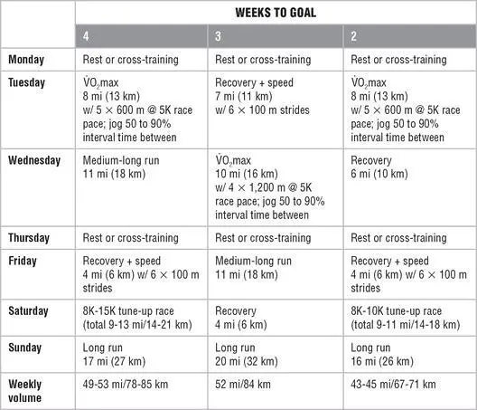 Mesocycle 4 Taper and Race Mesocycle 5 Recovery Chapter 9 - фото 141