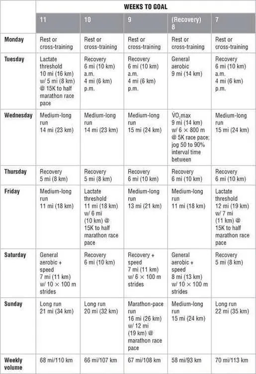 Mesocycle 3 Race Preparation Mesocycle 4 Taper and Race Mesocycle - фото 147
