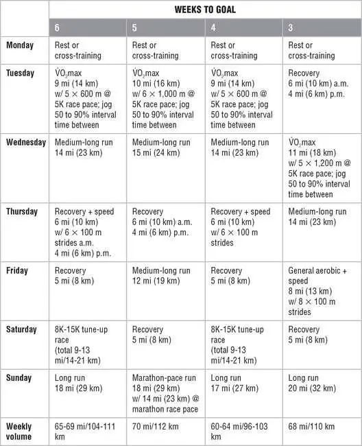 Mesocycle 4 Taper and Race Mesocycle 1 Endurance Mesocycle 2 - фото 148