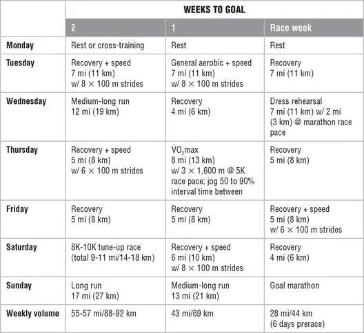 Mesocycle 1 Endurance Mesocycle 2 Lactate Threshold Endurance - фото 149