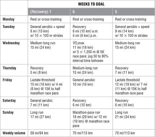 Mesocycle 3 Race Preparation Mesocycle 4 Taper and Race Mesocycle - фото 151