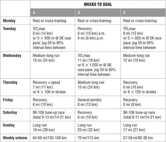 Mesocycle 4 Taper and Race Mesocycle 5 Recovery Chapter 10 - фото 152
