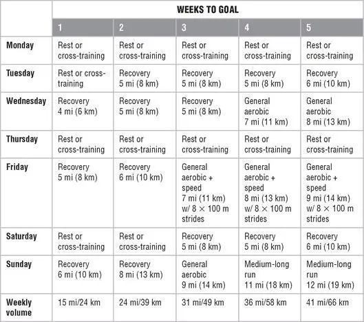 Chapter 10 Marathon Training on 70 to 85 Miles 113 to 137 km per Week - фото 154