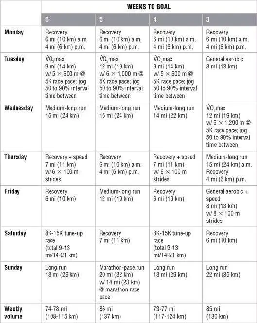 Mesocycle 4 Taper and Race Mesocycle 1 Endurance Mesocycle 2 - фото 159