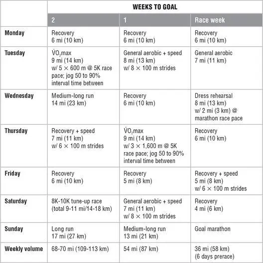 Mesocycle 1 Endurance Mesocycle 2 Lactate Threshold Endurance - фото 160