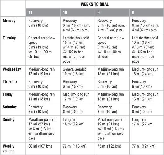 Mesocycle 2 Lactate Threshold Endurance Mesocycle 3 Race Preparation - фото 161