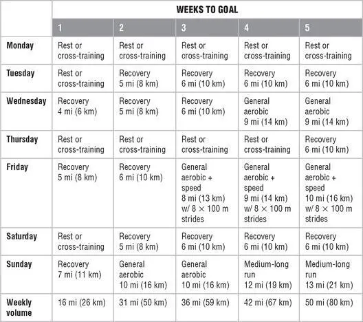 Chapter 11 Marathon Training on More Than 85 Miles 137 km per Week This - фото 165