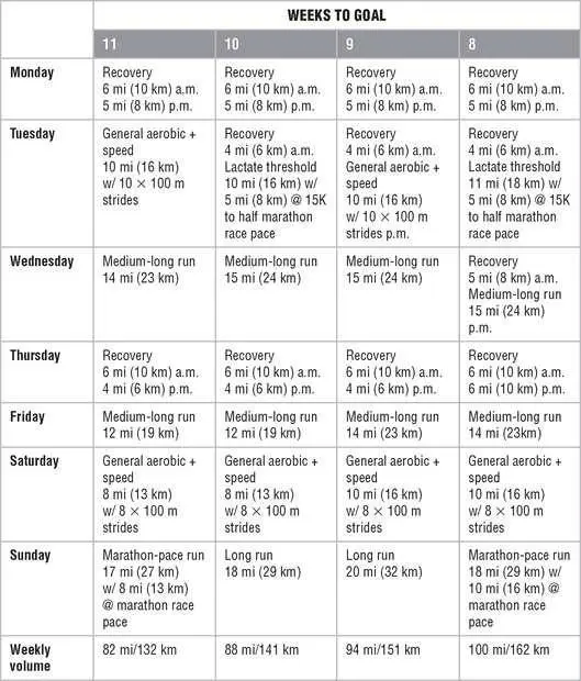 Mesocycle 2 Lactate Threshold Endurance Mesocycle 3 Race Preparation - фото 173