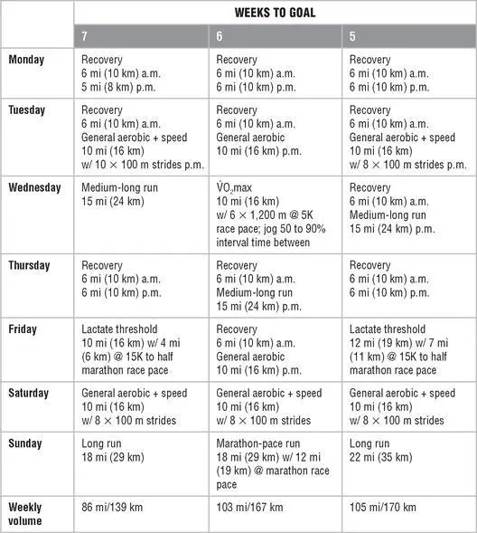 Mesocycle 3 Race Preparation Mesocycle 4 Taper and Race Mesocycle - фото 174