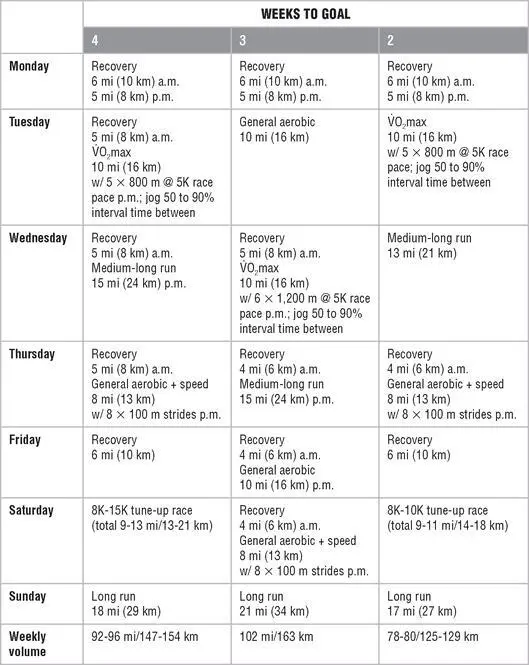 Mesocycle 4 Taper and Race Mesocycle 5 Recovery Chapter 12 - фото 175