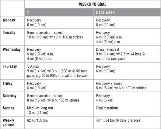 Mesocycle 5 Recovery Chapter 12 Multiple Marathoning This chapter - фото 176