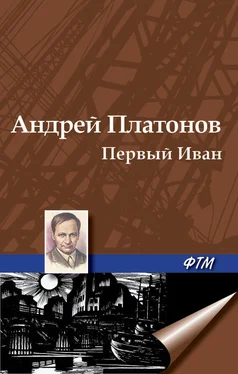 Андрей Платонов Первый Иван обложка книги