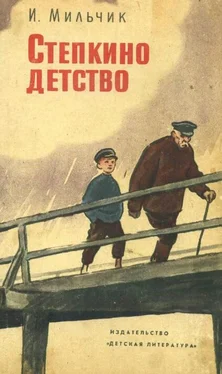 Исай Мильчик Степкино детство обложка книги