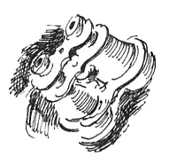 Глава восьмая Чай освего и дичь Пашка ушёл индеец был скрыт с глаз моих в - фото 13