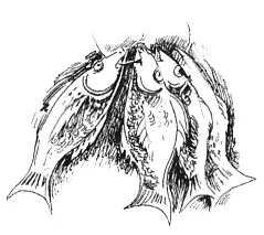 Глава девятая Про баранов и муфлонов Вторник А вторник это у нас что - фото 16