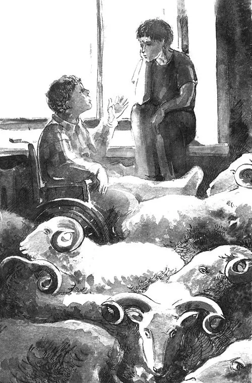 За окном всё было зимним и серым и ещё не скоро серость дневная перейдёт в - фото 17