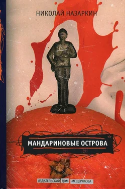 Николай Назаркин Мандариновые острова обложка книги