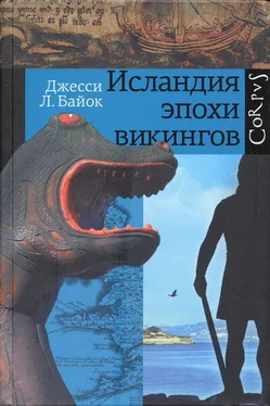 Джесси Байок Исландия эпохи викингов обложка книги